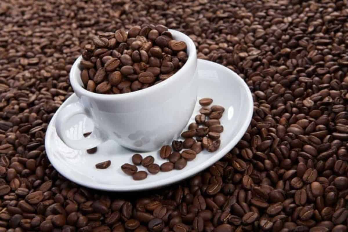 Coffee beans contain a lot caffeine