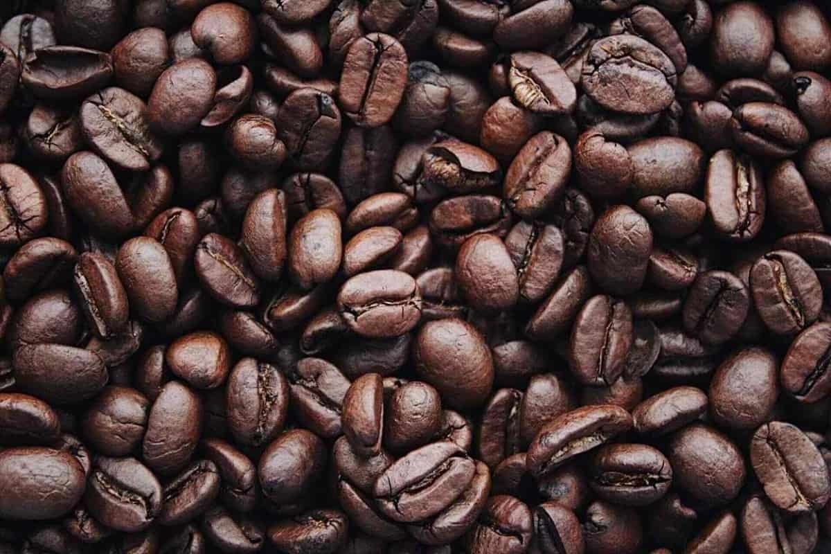 Coffee beans are a great source of caffeine--an energy stimulant.