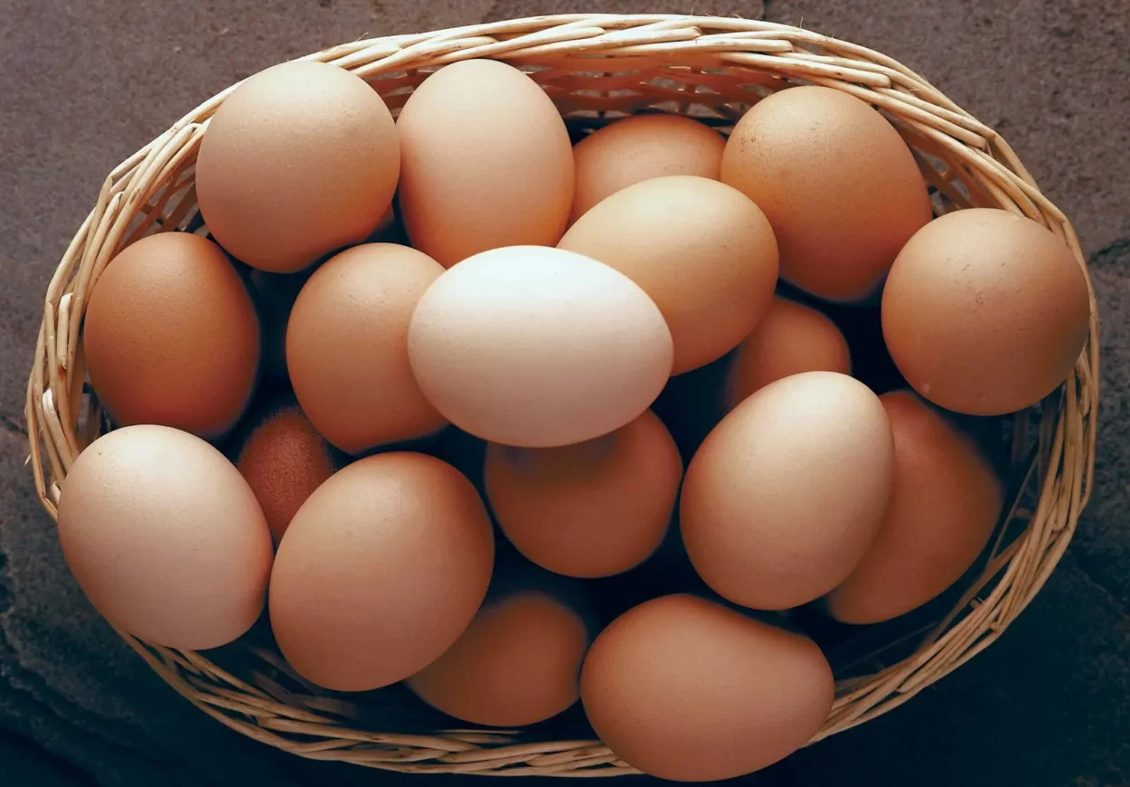 Image of Eggs in a basket.