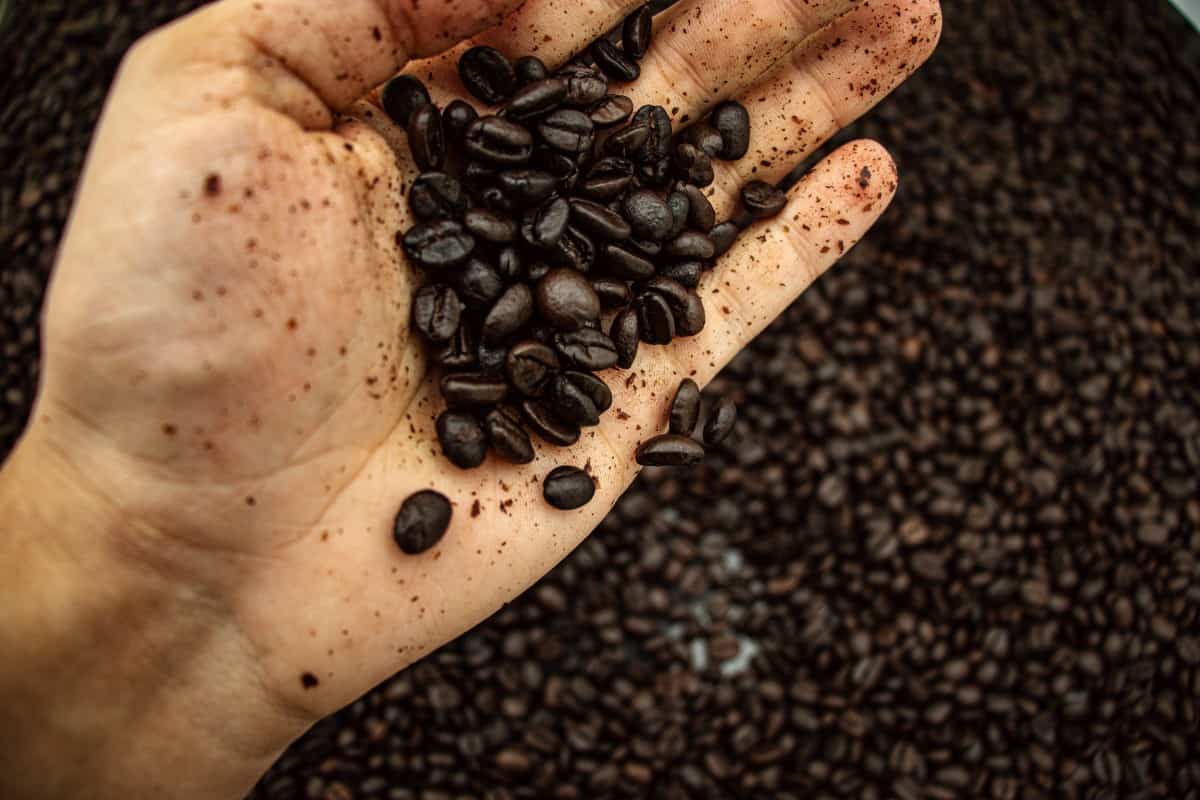 Image of Coffee Beans.