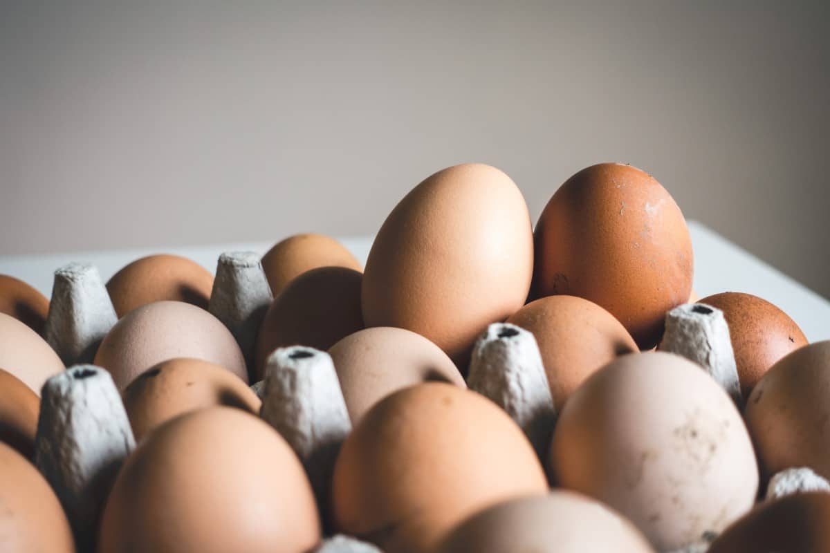 An image of Eggs.
