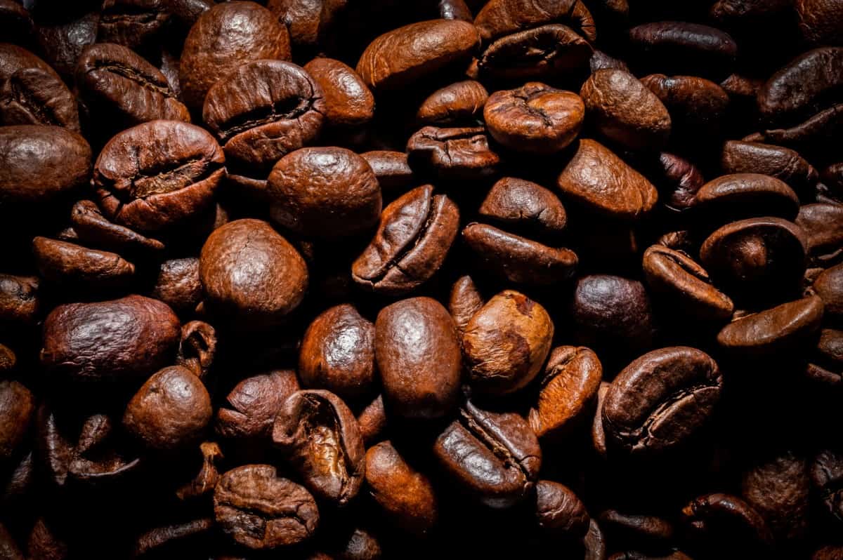 Coffee Beans are a significant source of caffeine.