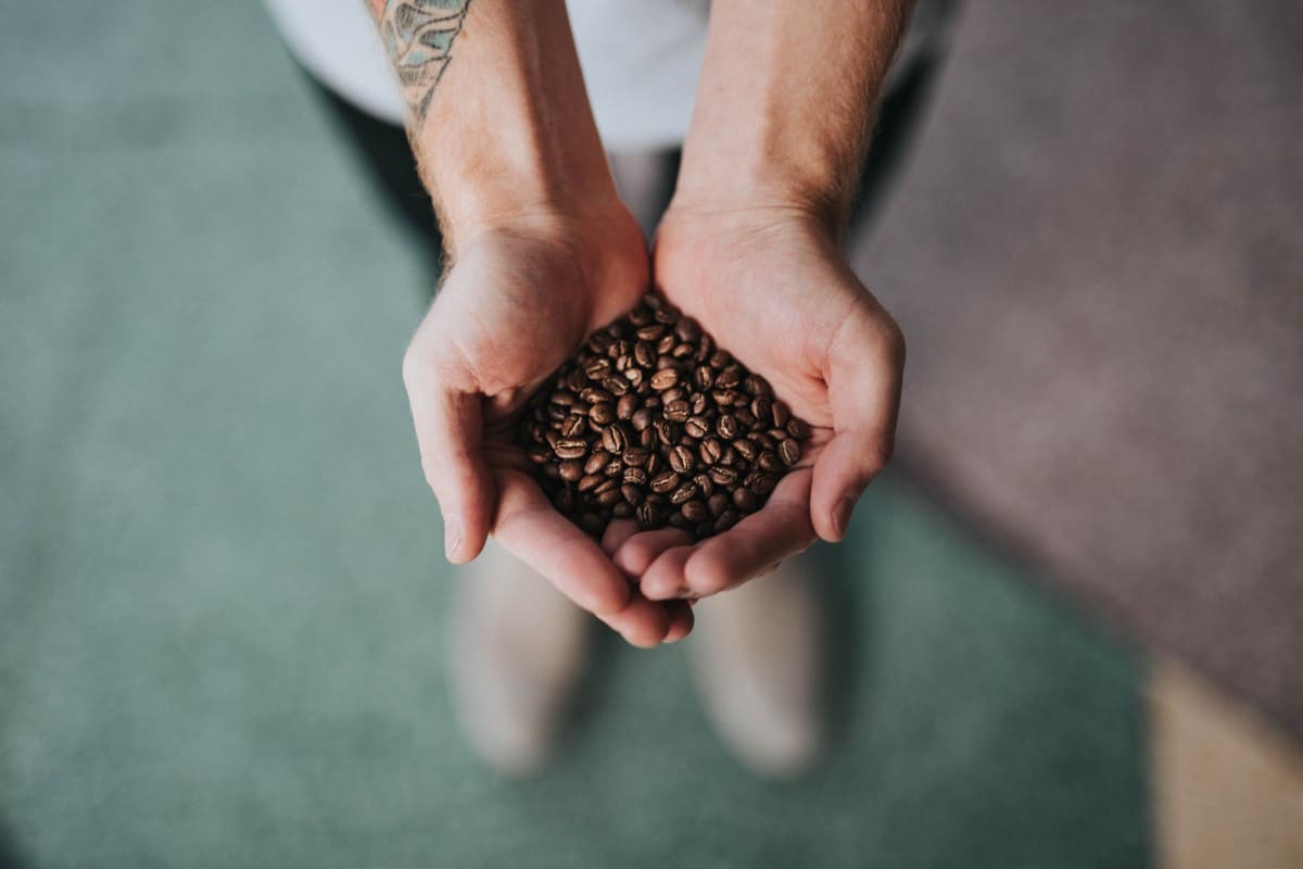 Image of coffee beans; a source of Caffeine.