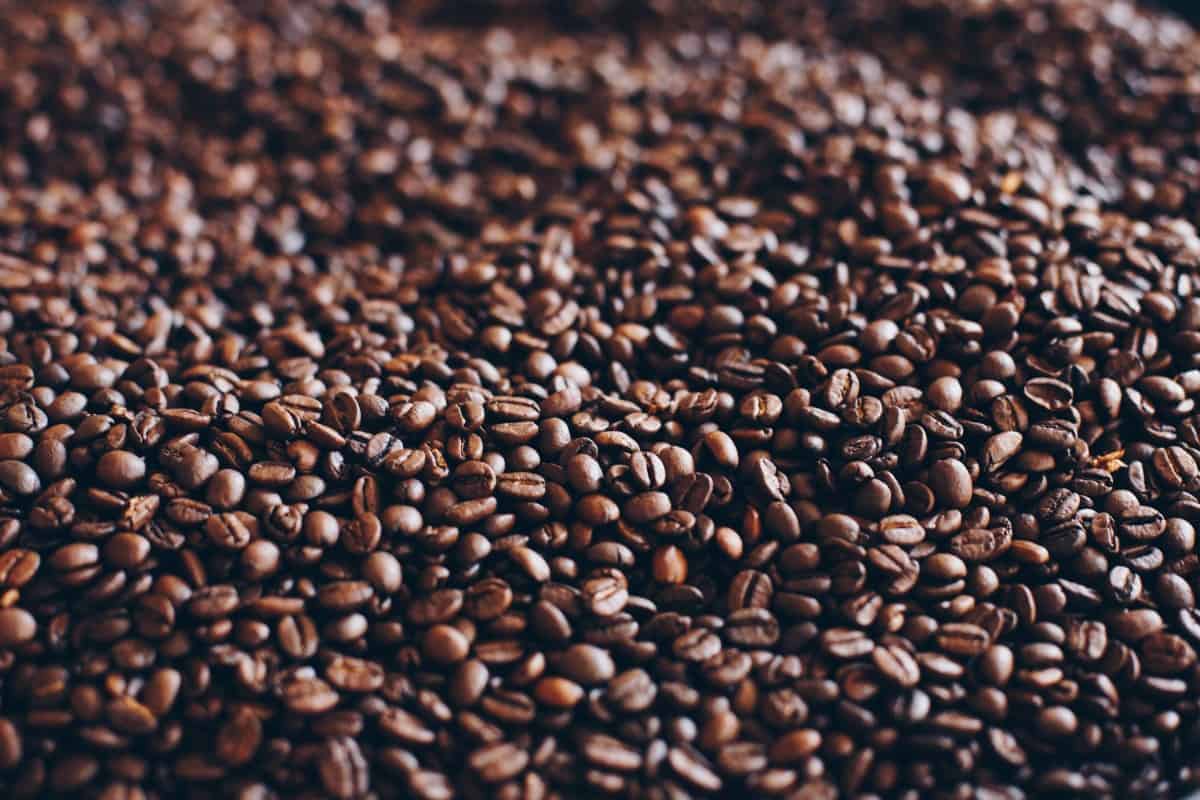 Image of coffee beans;  a source of Caffeine