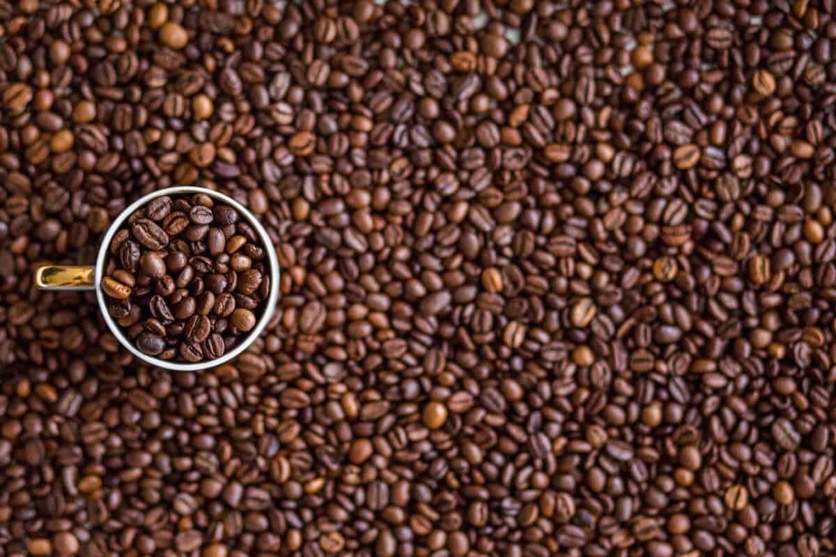 Image of coffee beans; a source of caffeine.
