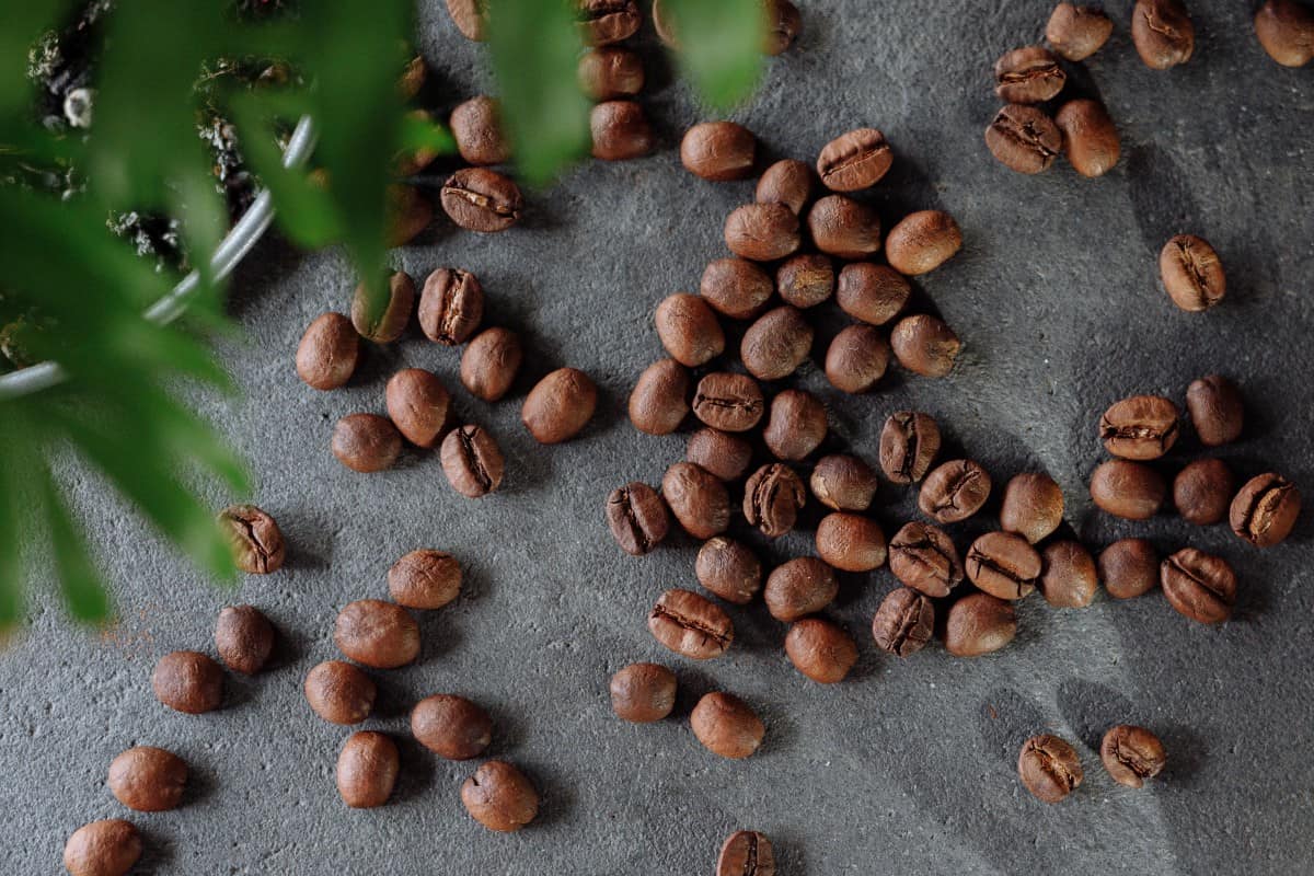 Image of coffee beans; source of caffeine